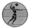 Volleybal heren